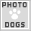 PHOTO DOGS!